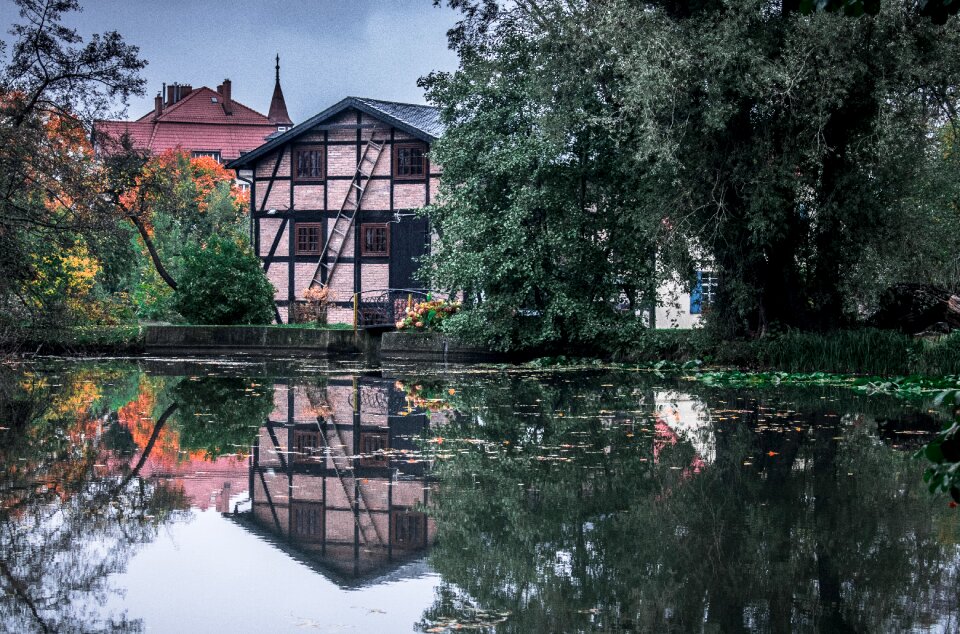 House at the court of architecture