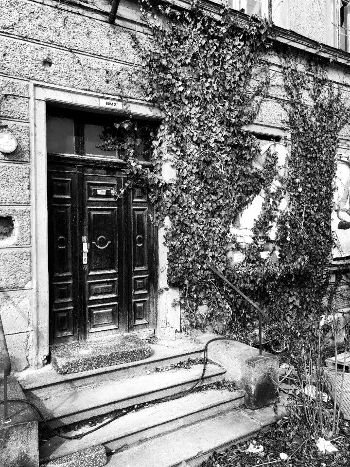 Black and white door house