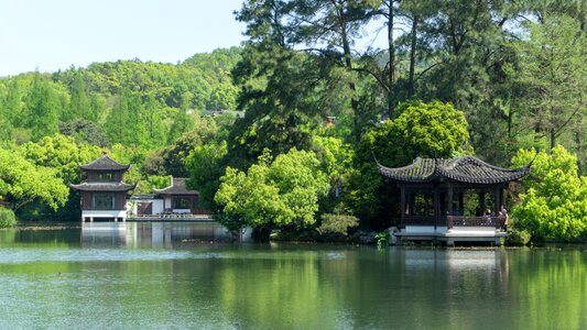Tree summer pavilions
