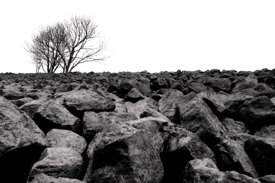 Landscape background black white photo