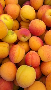 Fruit fresh produce