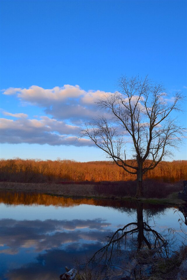 Water sky reflection