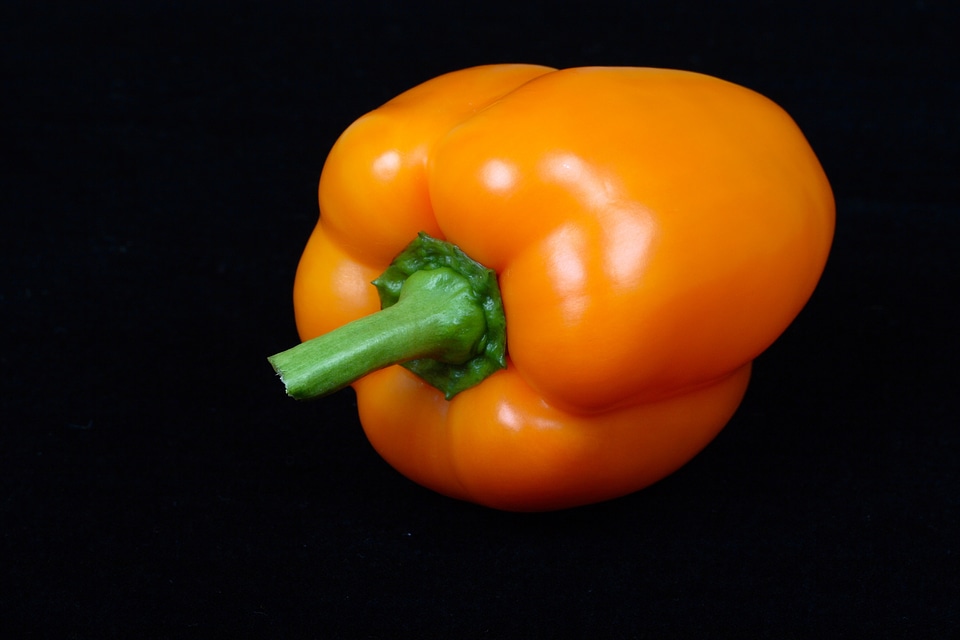 Sweet pepper vegetable black vegetables