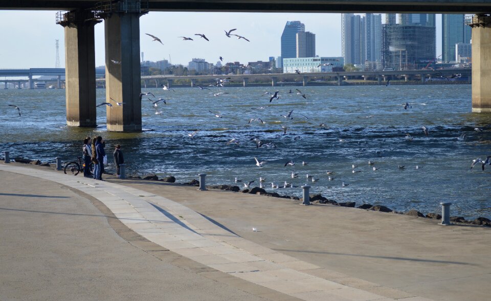 Travel pier hanriver