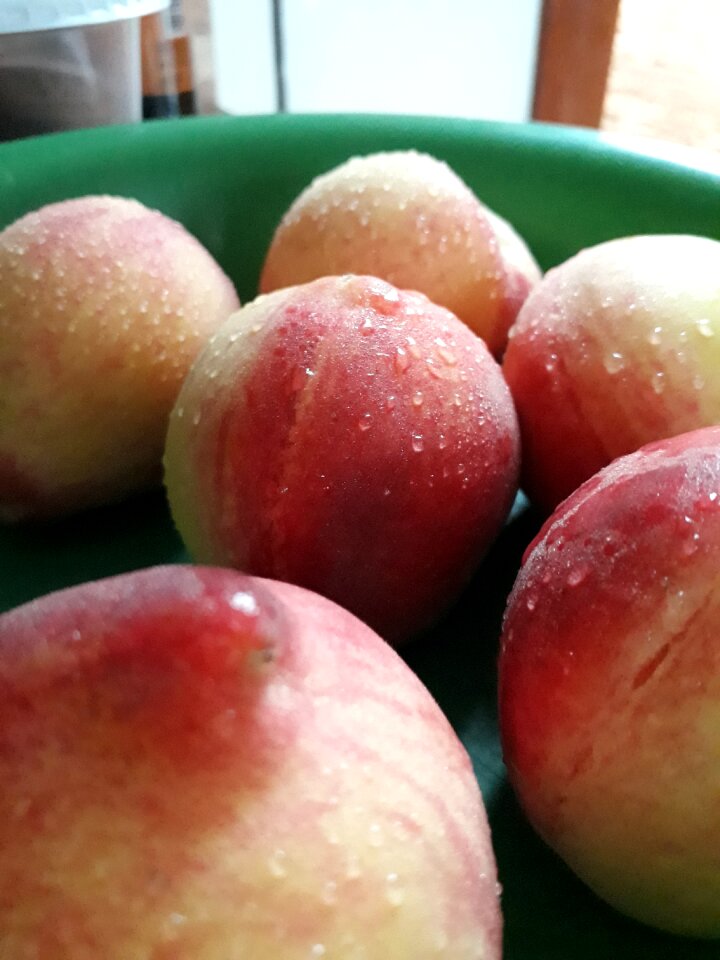 Nature nutrition cool