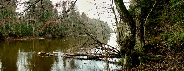 At the court of plant river photo