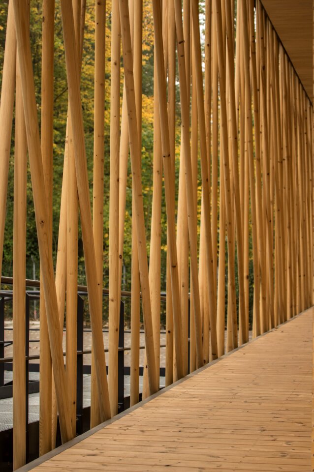 Background structure pattern