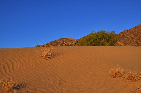 Dry hill dune