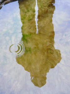 Puddle pond lake