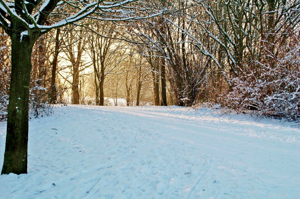 Frost season park