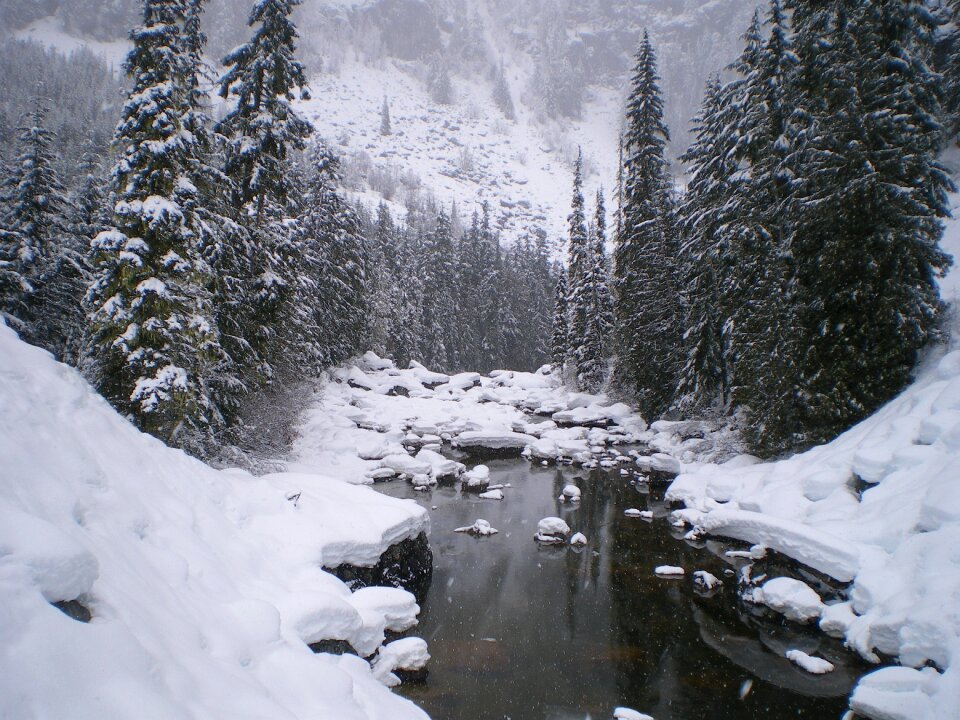 Ice frozen nature