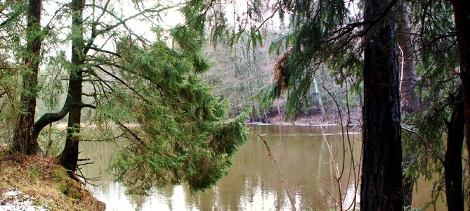 Landscape at the court of river