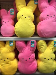 Color egg peeps