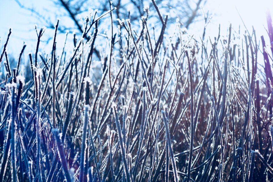 Frozen snow aesthetic