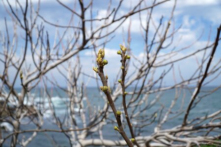 Outdoors sky spring