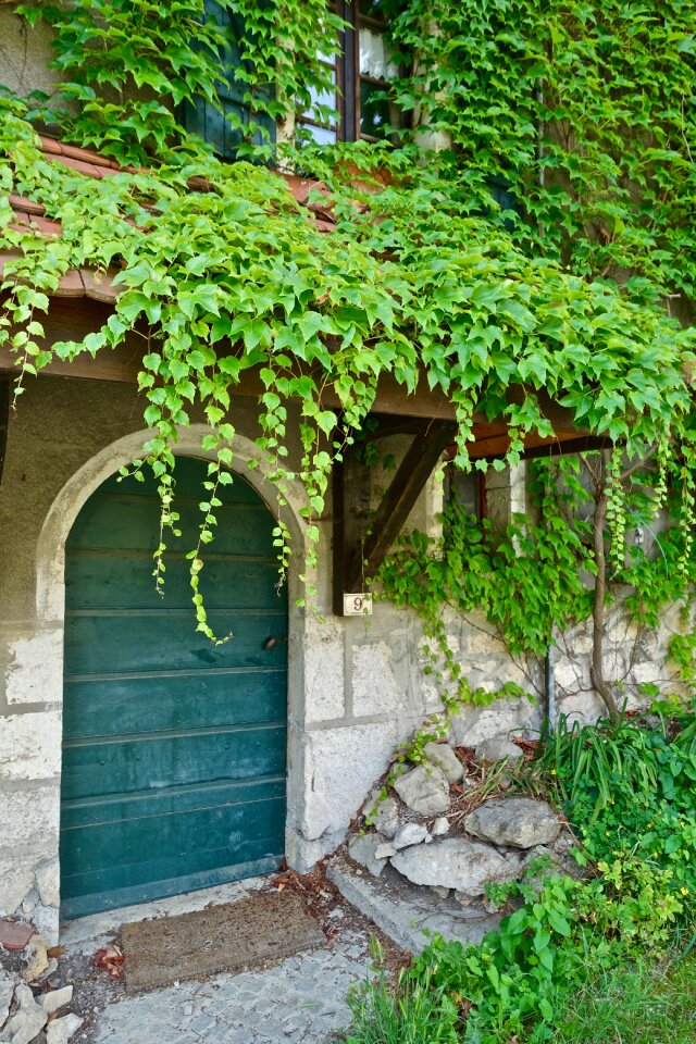 Outdoors house garden