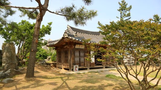Wood home nature