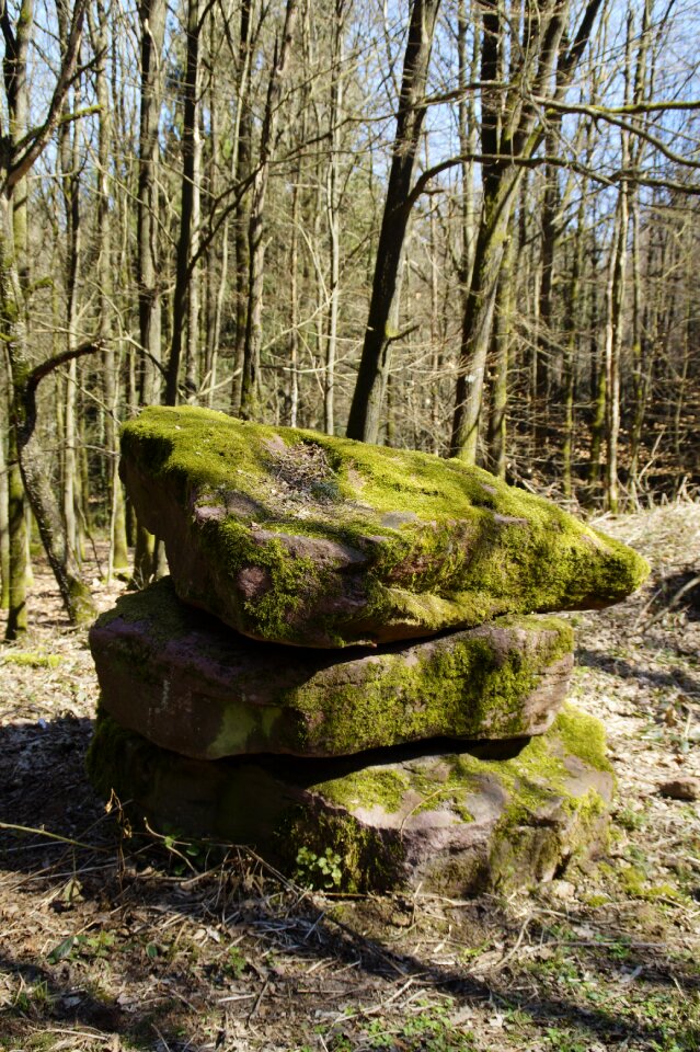 Landscape moss stone
