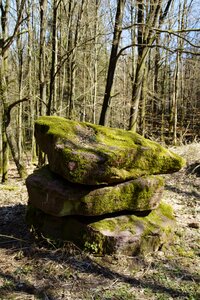Landscape moss stone