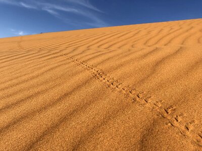 Arid wasteland sahara