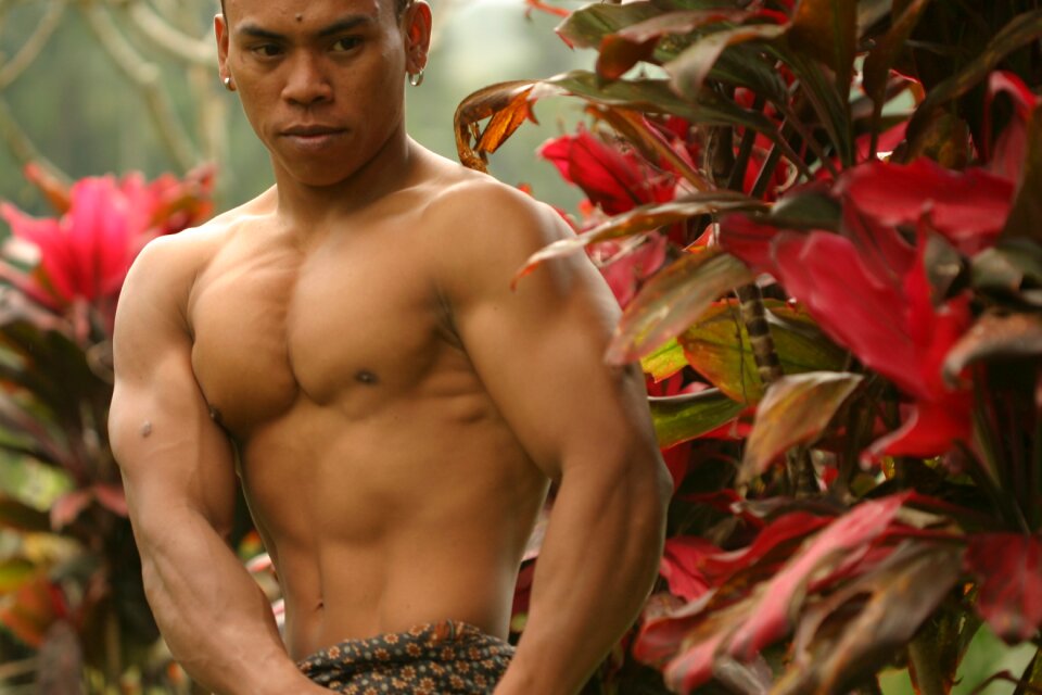 Body builder bali Free photos