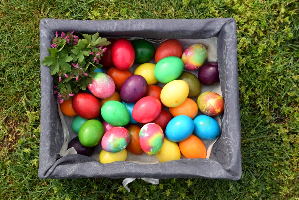 Easter eggs Free photos