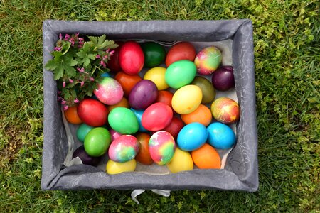 Easter eggs Free photos photo