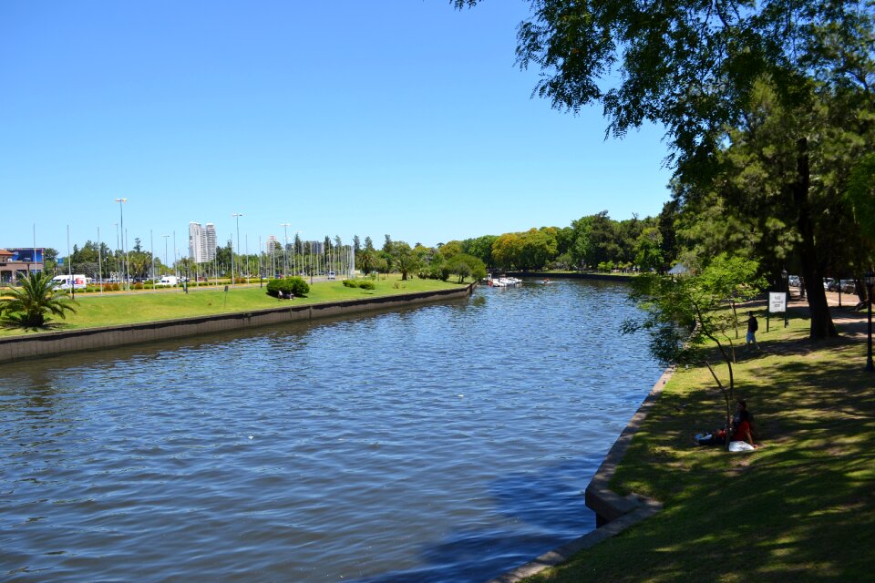 Lake summer river's edge