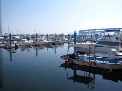 Pier boat times