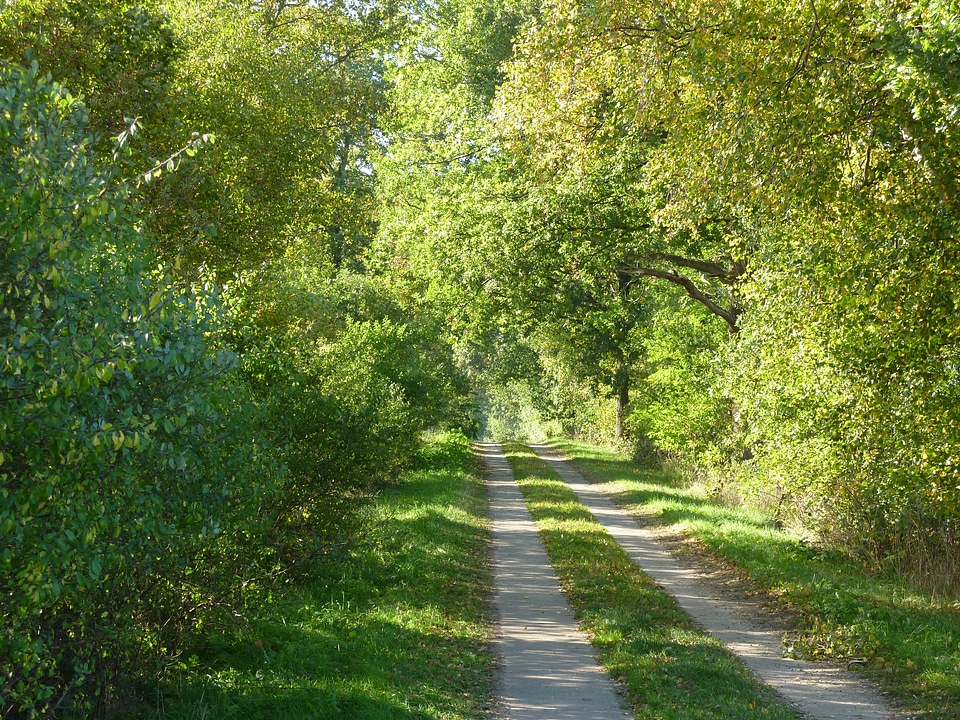 Trail spring green