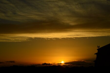 Dusk sky stork