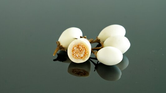 Food salad nature