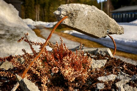 Outdoors frost