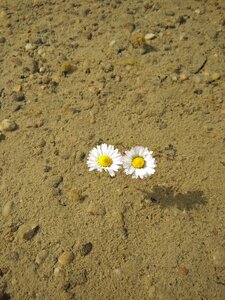 Nature background beach