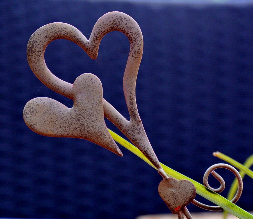 Heart decoration nature