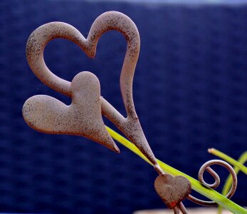 Heart decoration nature