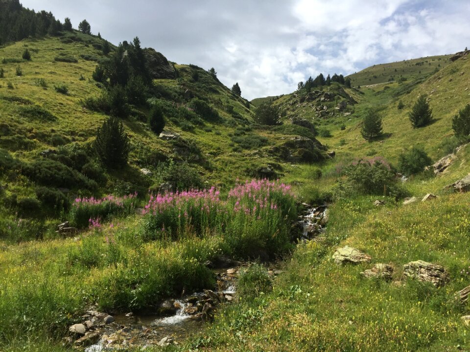 Mountain nice field