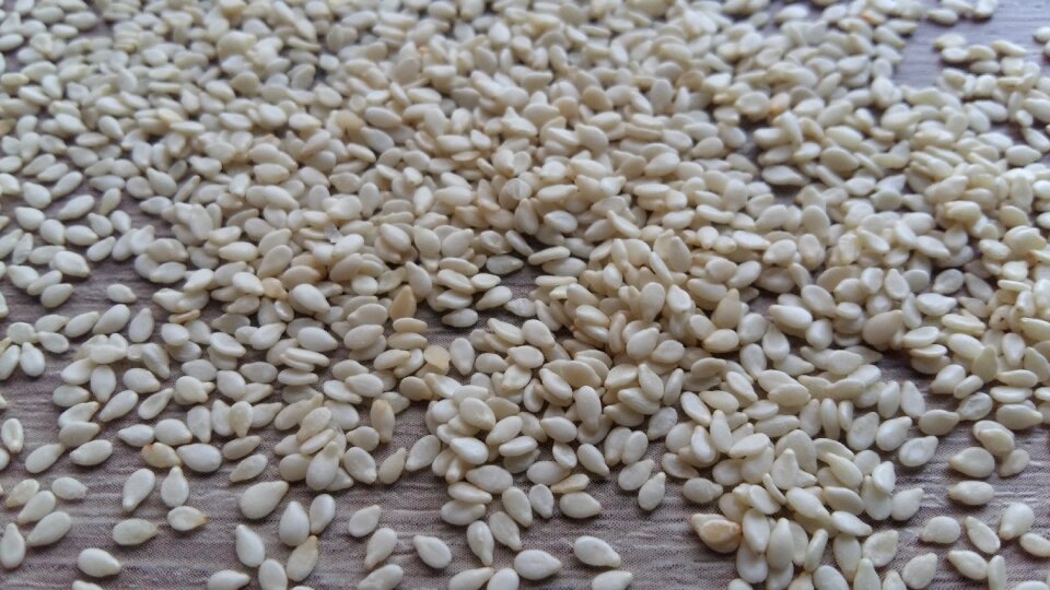 Ingredient food vegan