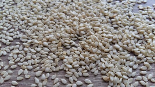 Ingredient food vegan