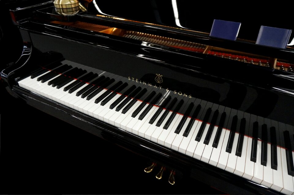 Instrument music pianist