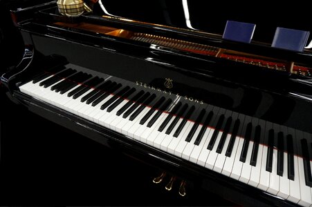 Instrument music pianist