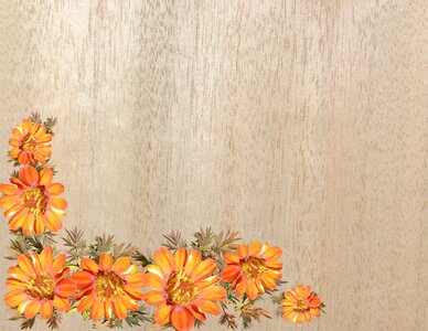 Wood grain decorated
