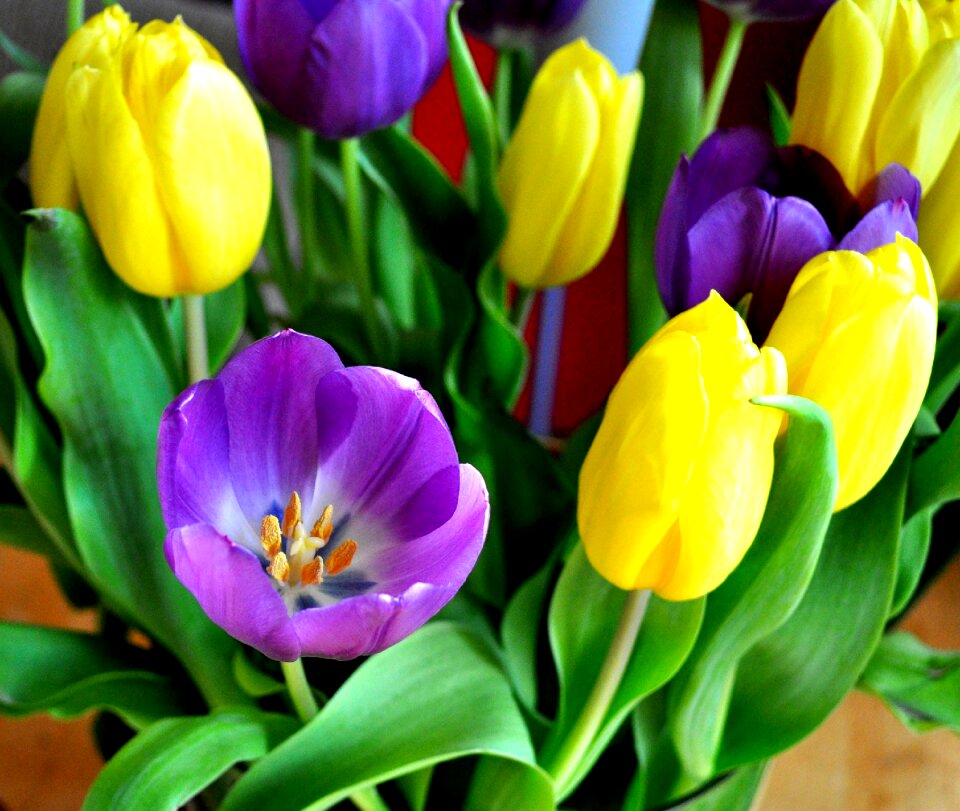 Nature garden easter