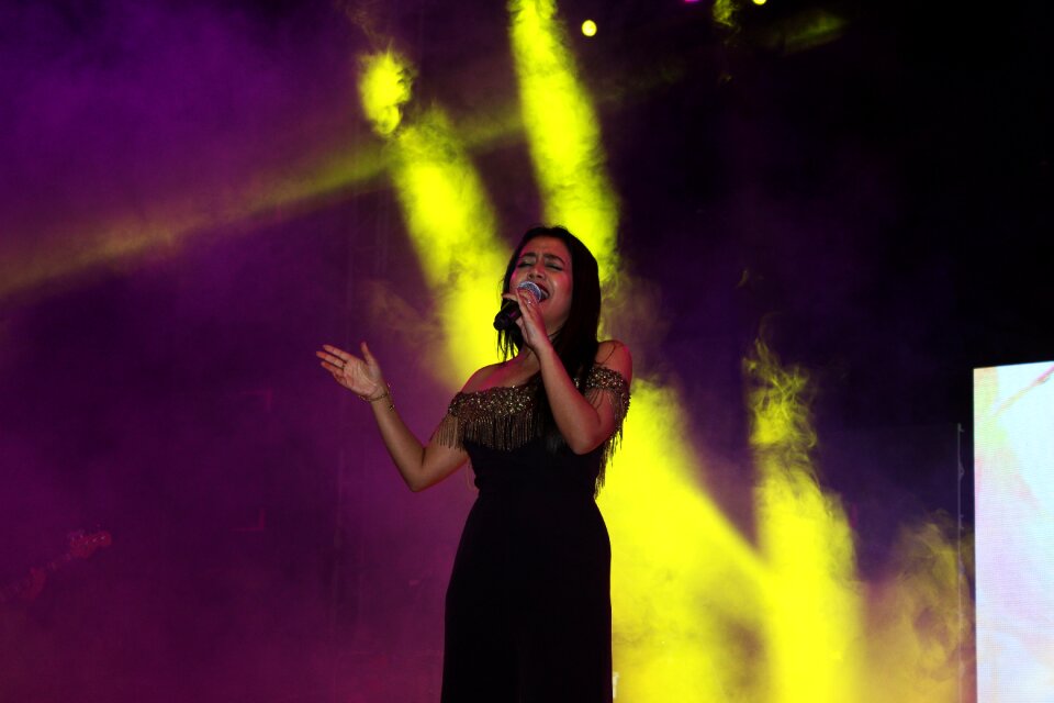Music stage singer