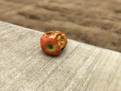 Food background fresh