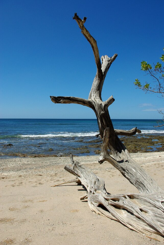 Nature beach sky