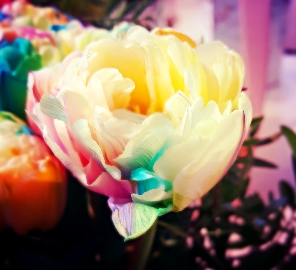 Nature celebration ornament