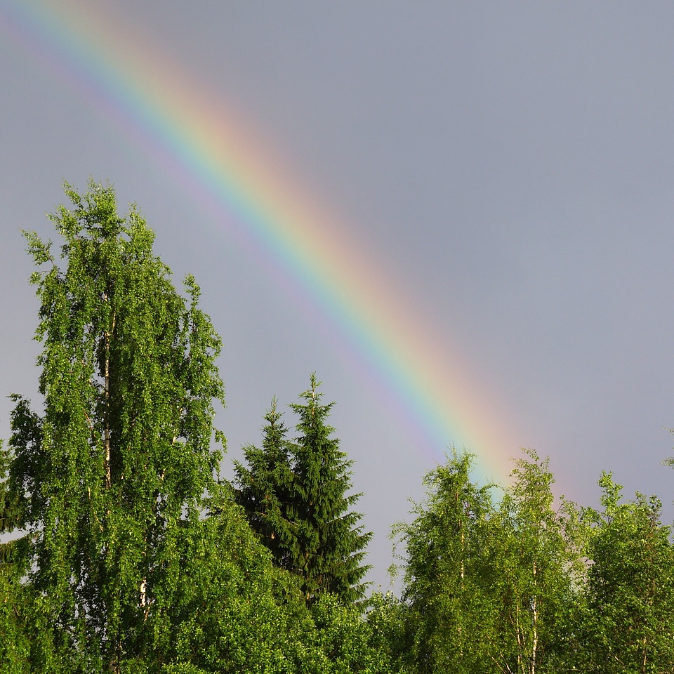 Rainbow natural phenomenon refraction of light