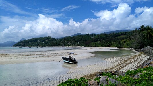 Nature travel panorama