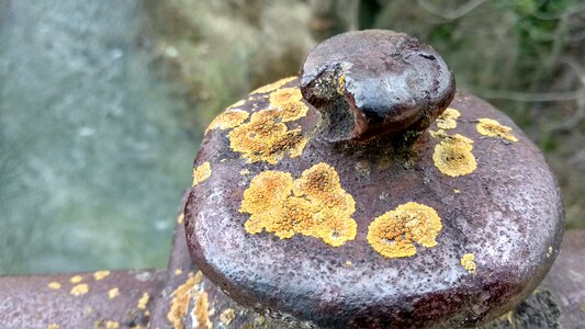 Nature rock stone
